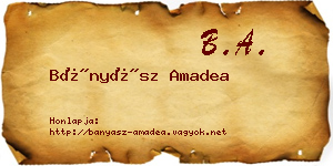 Bányász Amadea névjegykártya